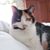 Lisa Spieler Gaynier LaRoe's profile image