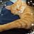 Laura Passmore's profile image