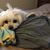 Judith Custodio's profile image