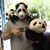 Conan Luu's profile image