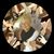 Cathy Webb Wilson's profile image