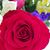 Patti Nabers Gandy's profile image