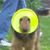 Amber Rahn's profile image
