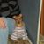 Michele Haas's profile image