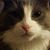 Bobbi Krowlek-Howell's profile image