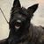 Marcy Sinclair Grauerholz's profile image