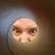Travis Berryhill's profile image