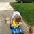 Sue Skop's profile image