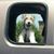 John Aristy's profile image