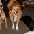 Marilyn Meade's profile image