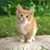 Stephanie Espigh's profile image