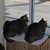 Marsha Biller's profile image