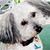 Chris Oravec's profile image