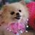 Tamara Hawkes's profile image