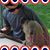 John OShell's profile image