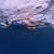 Wendy Mittelman Birnbaum's profile image