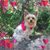 Barbara Holliman Roy's profile image