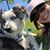 Rachelle Blattman's profile image