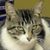 Linda Parsons's profile image