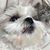 Nancy Dolgetta Zefi's profile image
