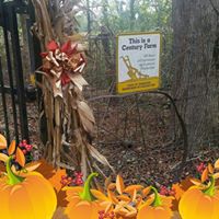 Judy Sartain's profile image