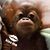 Michele Savela's profile image