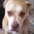 Maureen Christensen's profile image