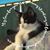 Sheri Peterman Boone's profile image
