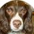 Patricia Treiber's profile image