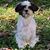 Terry Freeman's profile image