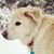 Kathy Patten's profile image