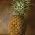Ginger Durgin's profile image