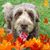 Kath Holmes's profile image