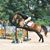 Annette Troy Rollberg's profile image
