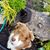Nancy Bise's profile image