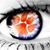 Stephanie Luben's profile image