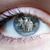 Geri Kuhl's profile image