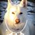 Deborah Reiss's profile image