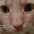 Vicky Whitcomb Long's profile image