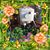 Onilze Torres's profile image