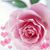 Janice Granier's profile image