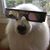 Stephen Price's profile image