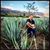 Justin W. Cochren's profile image
