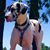 Pepper Winn's profile image