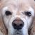 Kate Anderson's profile image