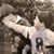 Karen Long Nardone's profile image
