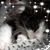 Carol Power McCracken's profile image