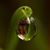 Brenda Todd's profile image