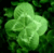 Patricia B.'s profile image