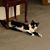 Dee Woollard's profile image